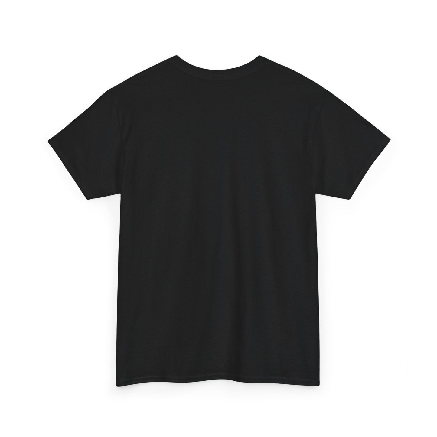Philosophical Unisex Tee, Thoughtful Graphic T-Shirt, Inspirational Cotton Shirt, Deep Quote Top, Existential Clothing