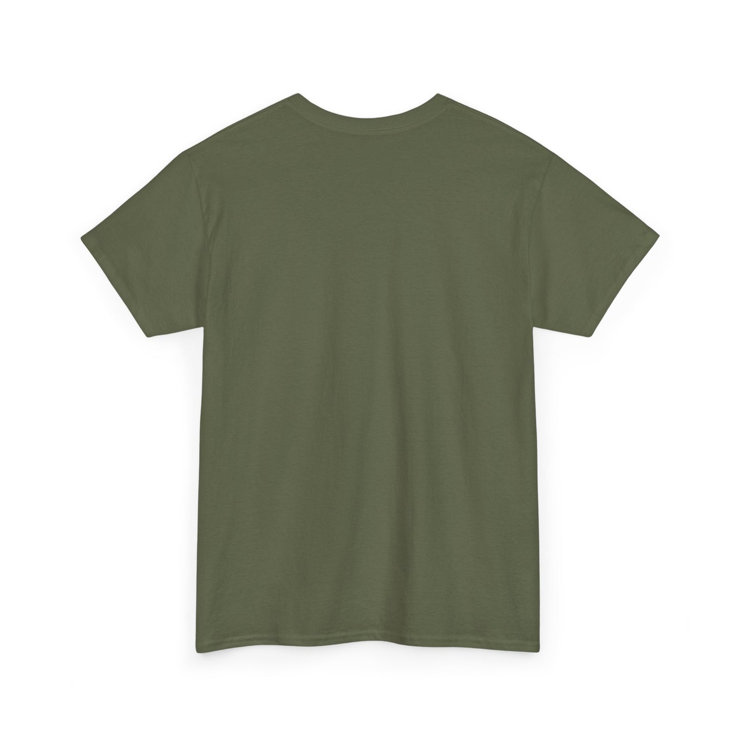 Sarcastic Graphic T-Shirt, Humour Tee for Men and Women