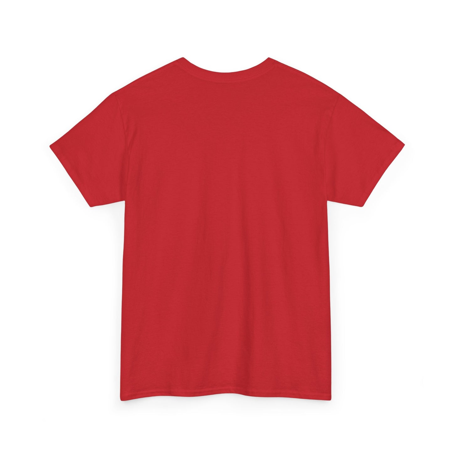 Sarcastic Graphic T-Shirt, Humour Tee for Men and Women