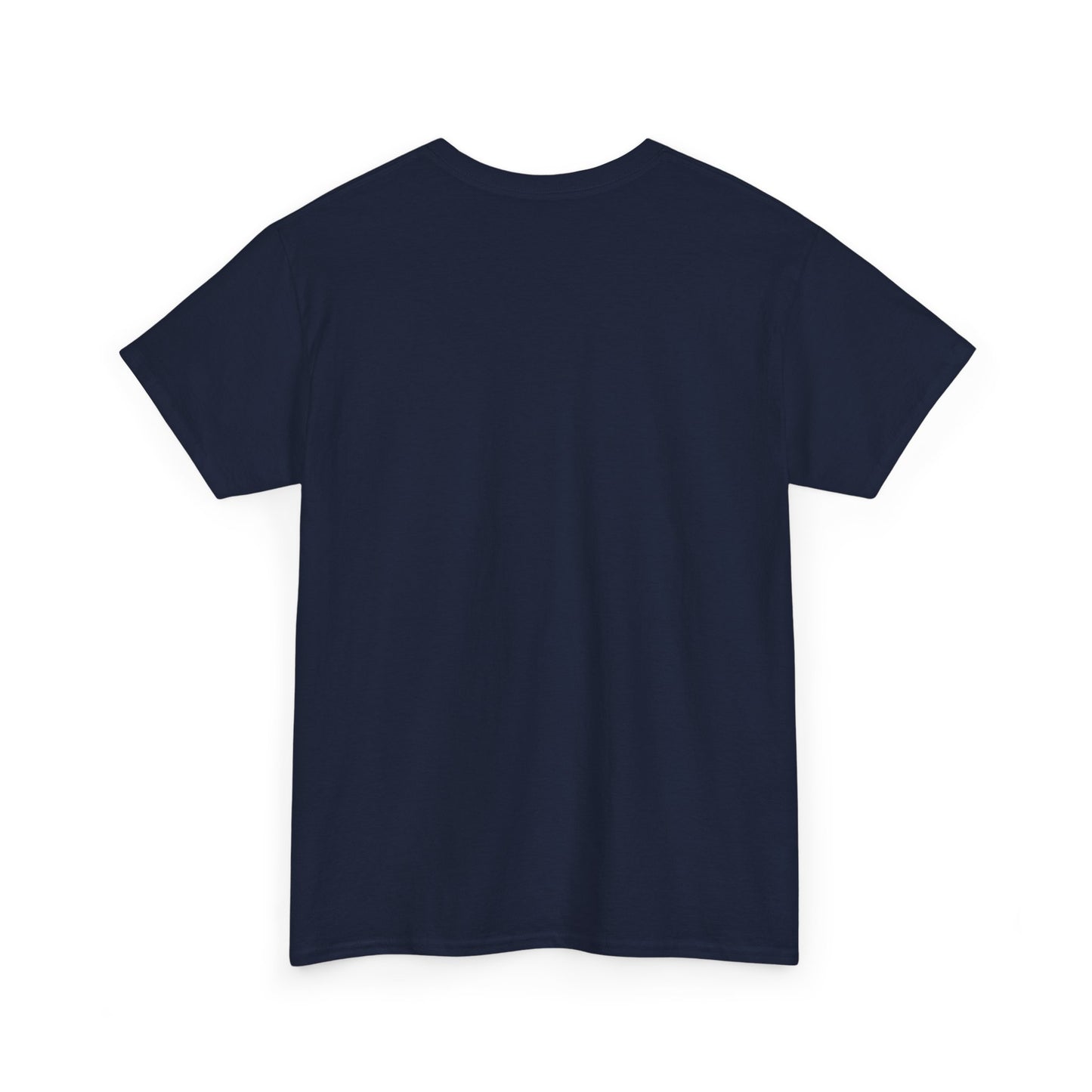 Philosophical Unisex Tee, Thoughtful Graphic T-Shirt, Inspirational Cotton Shirt, Deep Quote Top, Existential Clothing