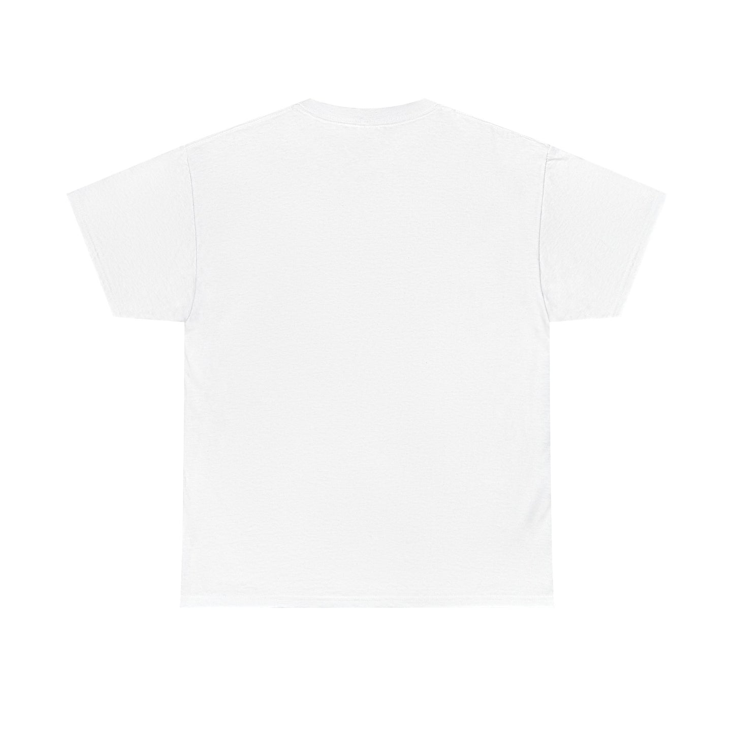 Abstract Explanation Unisex Heavy Cotton Tee, Graphic Tee, Unisex T-Shirt, Geek Tee, Science Lover Gift, Philosophy Tee
