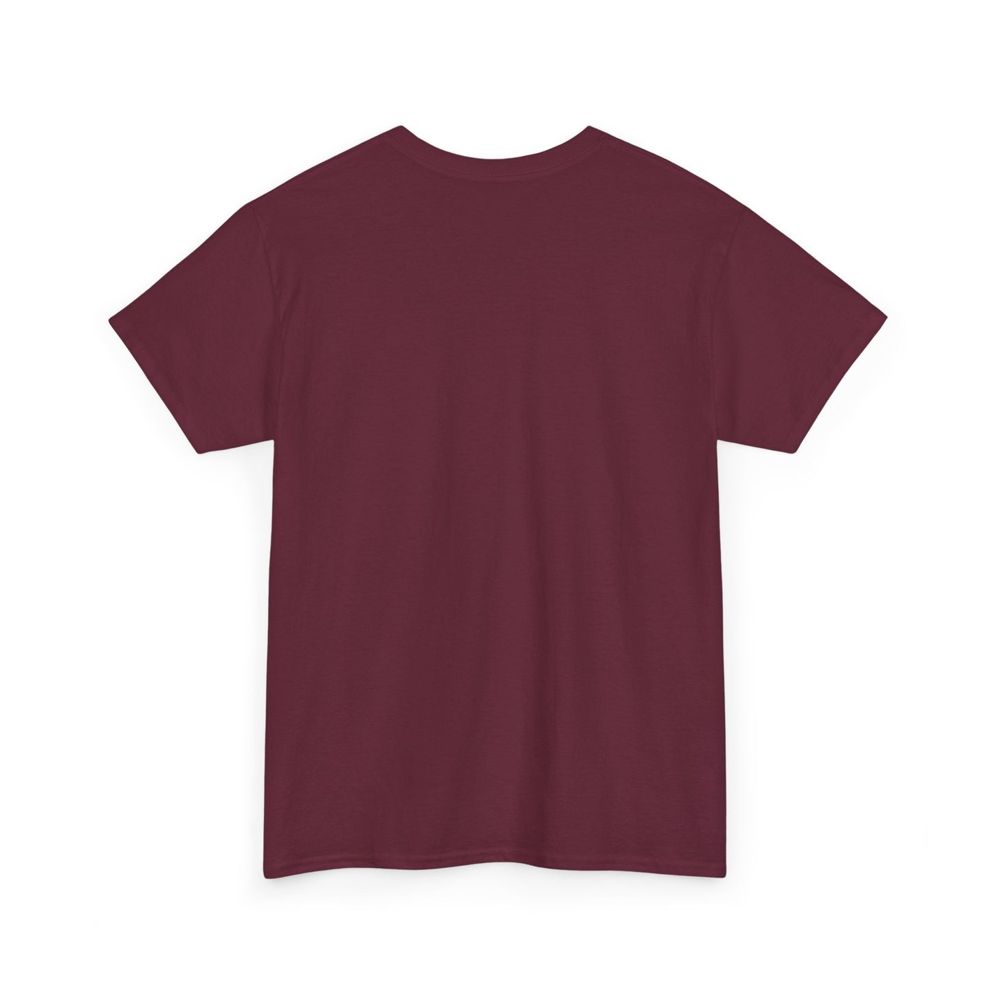 Philosophical Unisex Tee, Thoughtful Graphic T-Shirt, Inspirational Cotton Shirt, Deep Quote Top, Existential Clothing