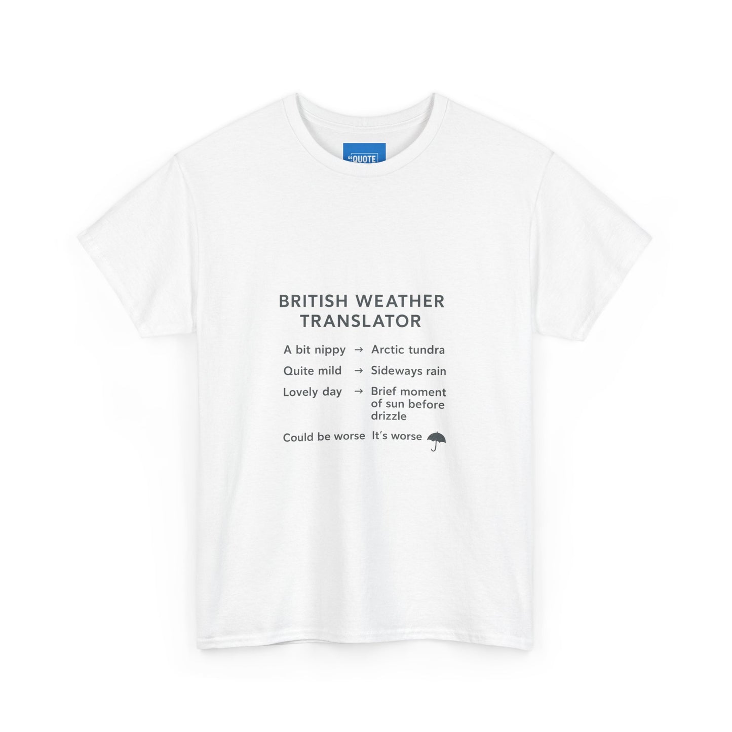 British Weather Problems Unisex Tee, Humorous British Tee, Heavy Cotton T-Shirt, Funny UK Tee