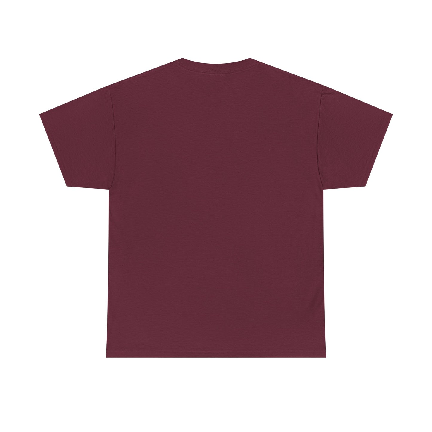 Sarcastic Graphic T-Shirt, Humour Tee for Men and Women