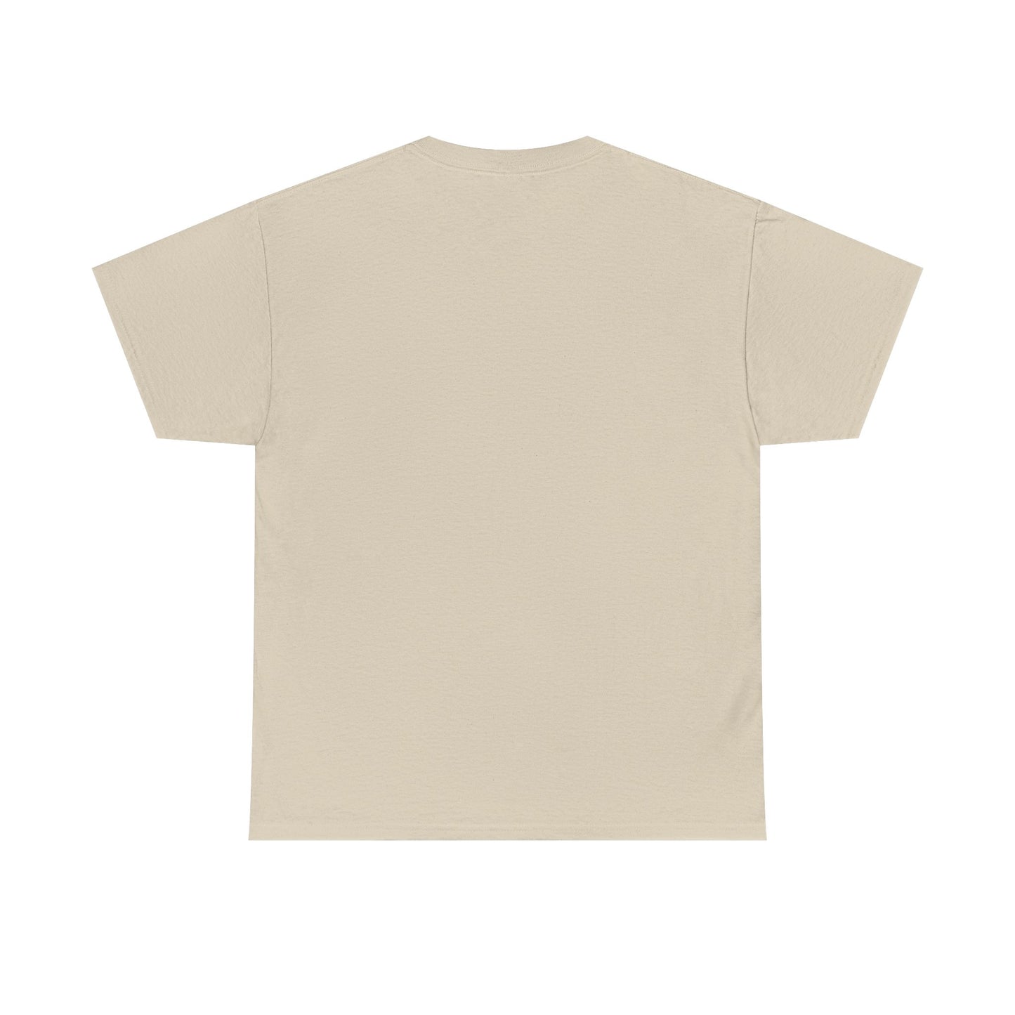 Lazy Day Unisex Heavy Cotton Tee, Comfy Tshirt, Chill Out Shirt, Relaxing Top, Lazy Sunday Apparel