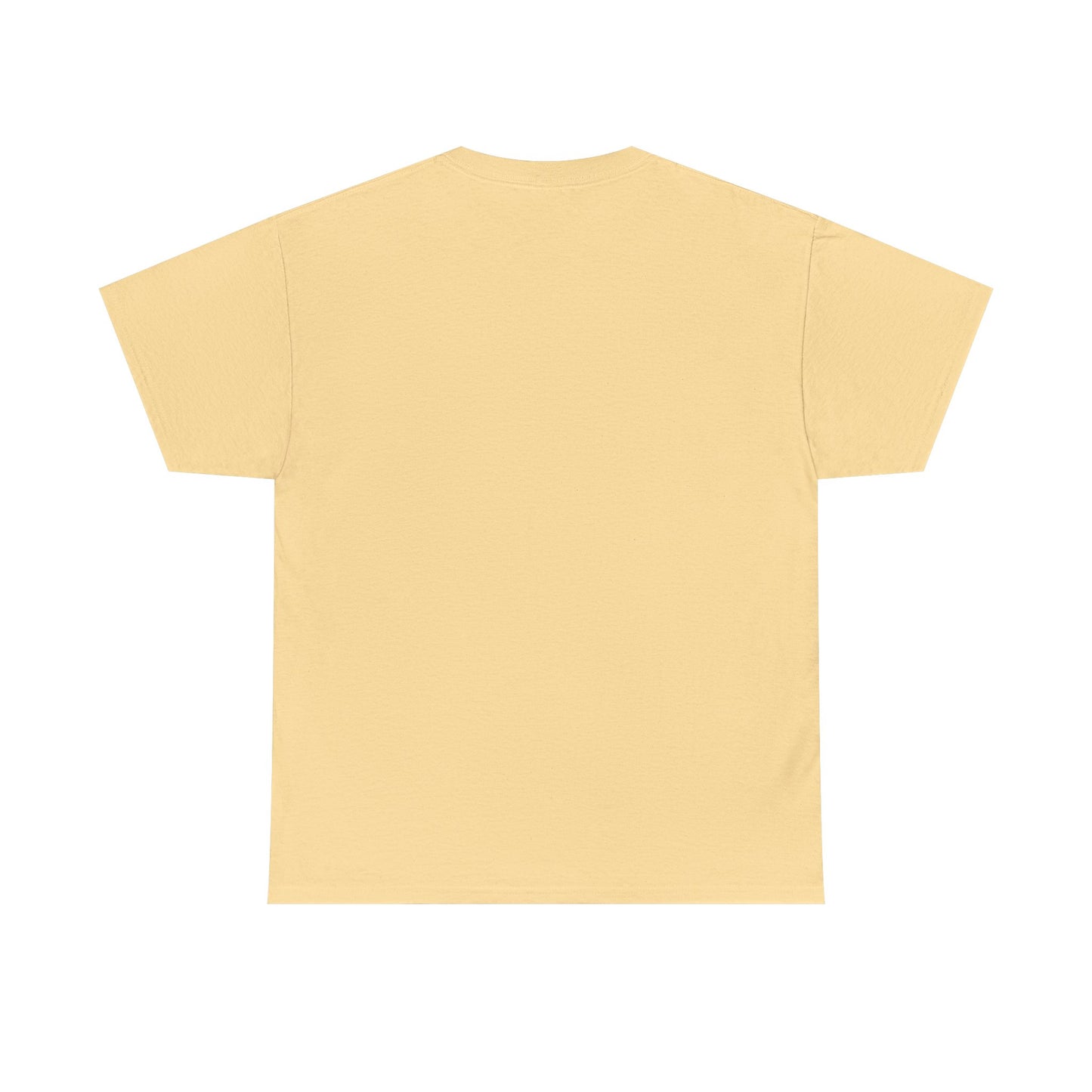 Lazy Day Unisex Heavy Cotton Tee, Comfy Tshirt, Chill Out Shirt, Relaxing Top, Lazy Sunday Apparel