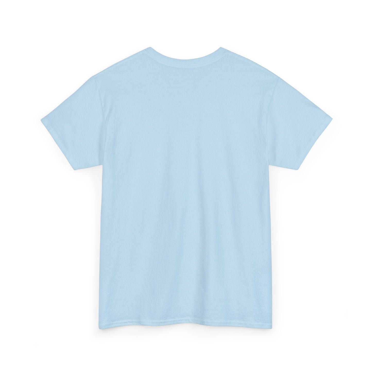 Lazy Day Unisex Heavy Cotton Tee, Comfy Tshirt, Chill Out Shirt, Relaxing Top, Lazy Sunday Apparel