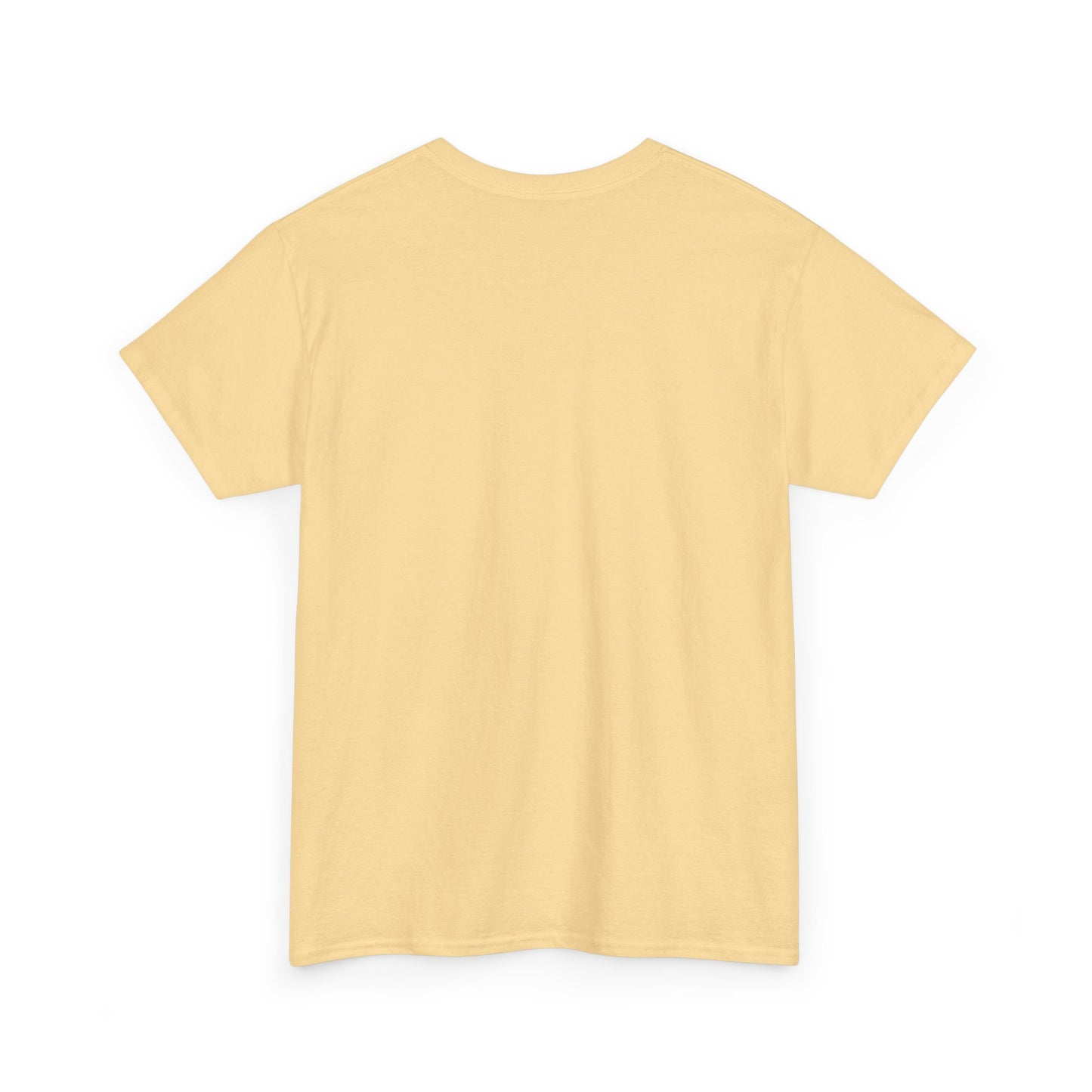 Lazy Day Unisex Heavy Cotton Tee, Comfy Tshirt, Chill Out Shirt, Relaxing Top, Lazy Sunday Apparel