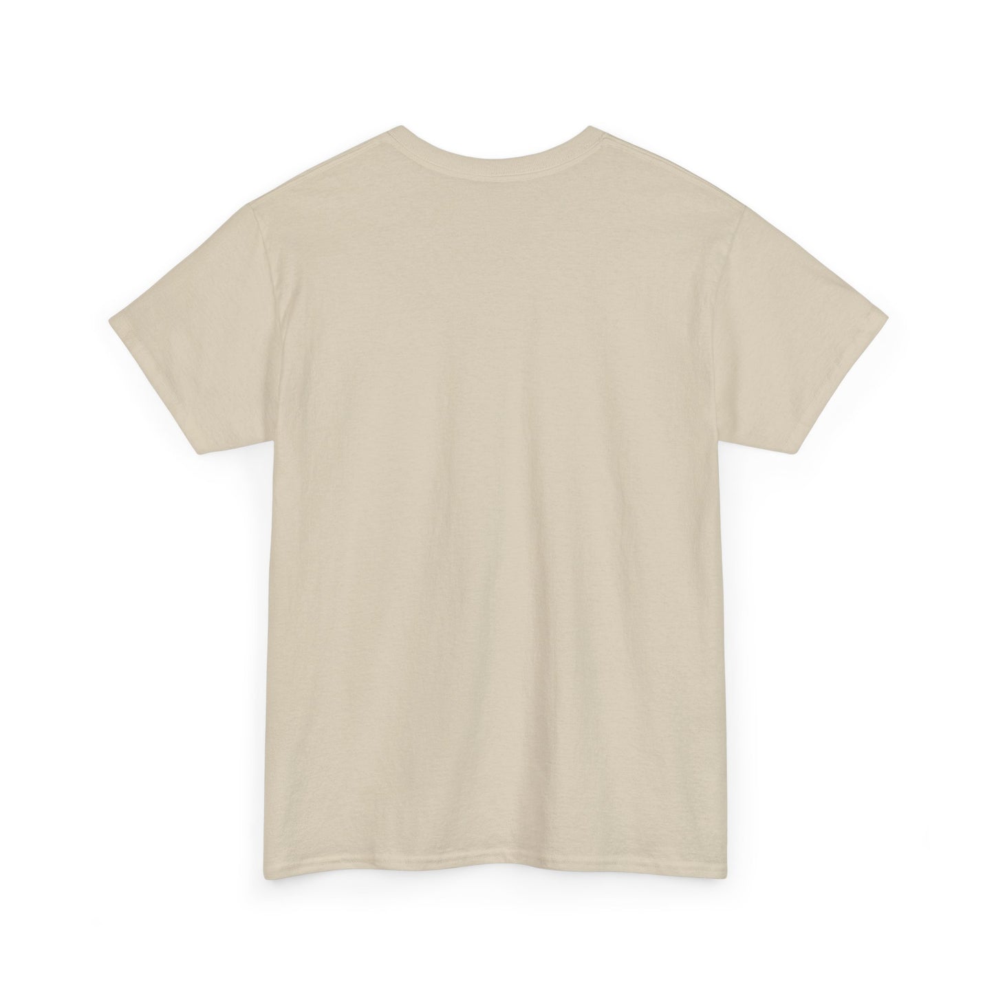 Lazy Day Unisex Heavy Cotton Tee, Comfy Tshirt, Chill Out Shirt, Relaxing Top, Lazy Sunday Apparel