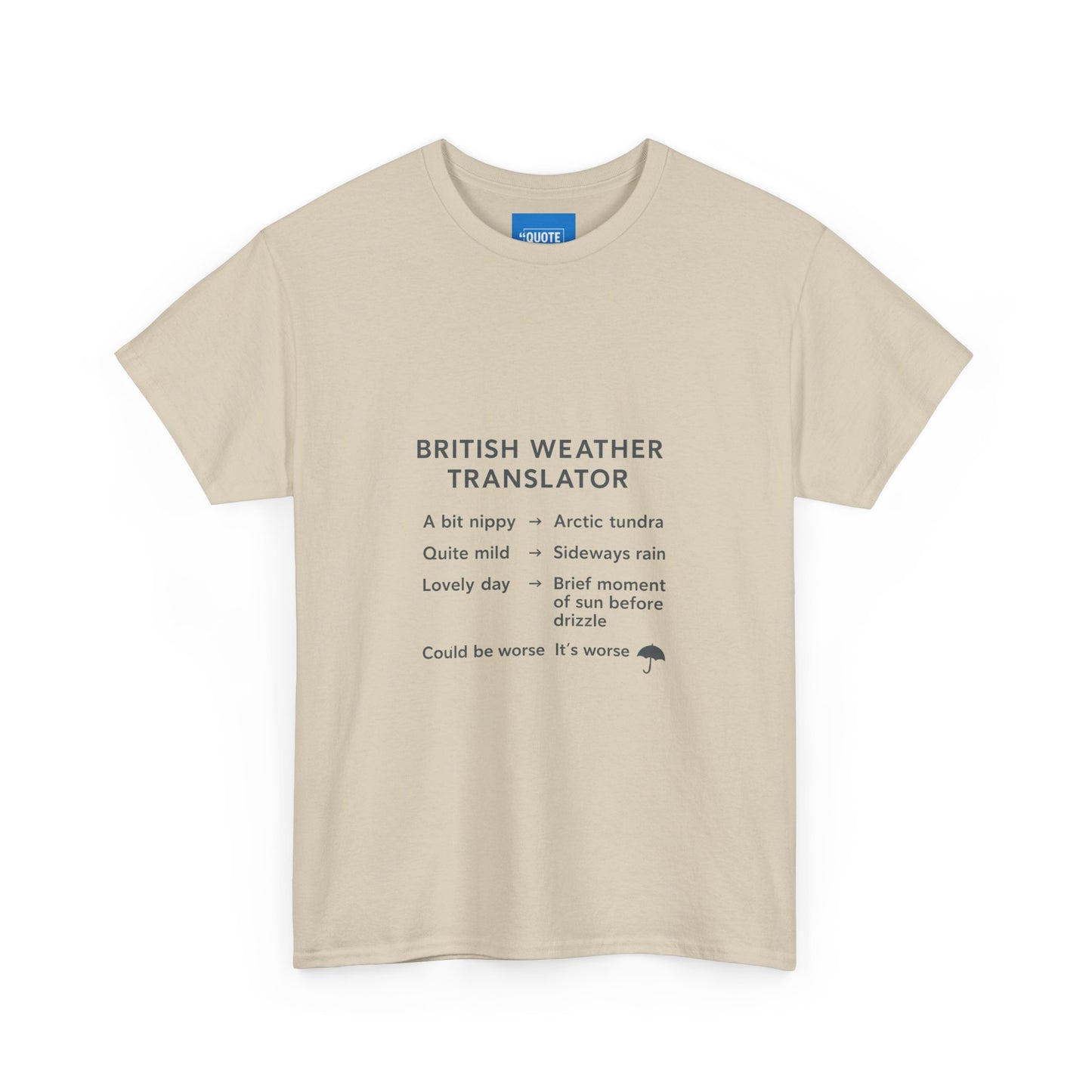 British Weather Problems Unisex Tee, Humorous British Tee, Heavy Cotton T-Shirt, Funny UK Tee